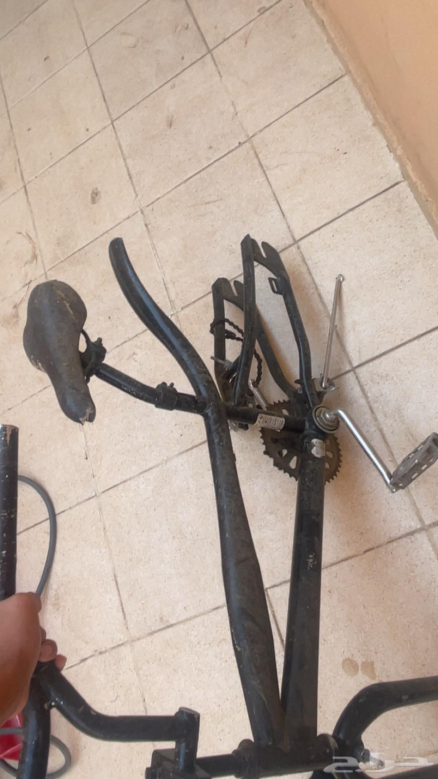 سيكل كوبرا للبيع64223174605954110