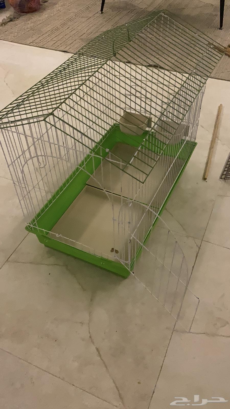 قفص ارانب64230803215618110
