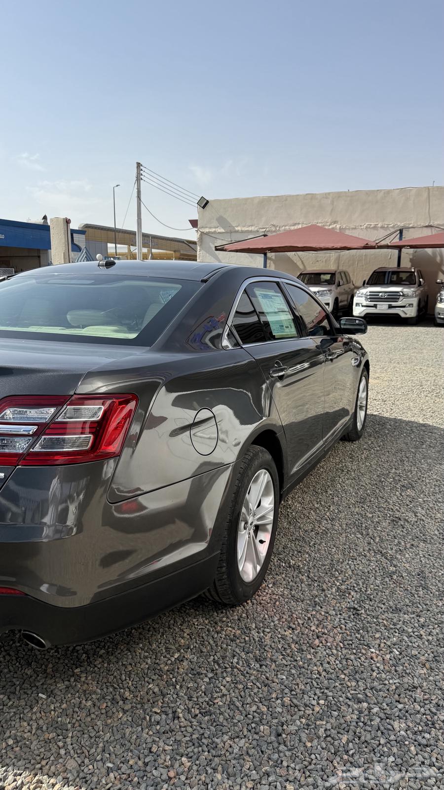 توروس 2019 ( معرض أمجاد الصقري )64397617177858113