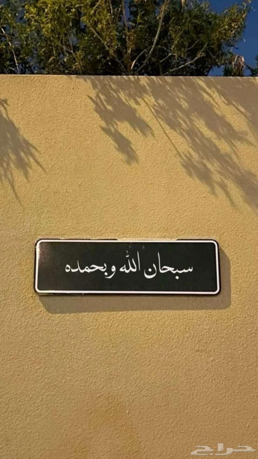 مطلوب هايلكس من موديل 12-1564406751040770110