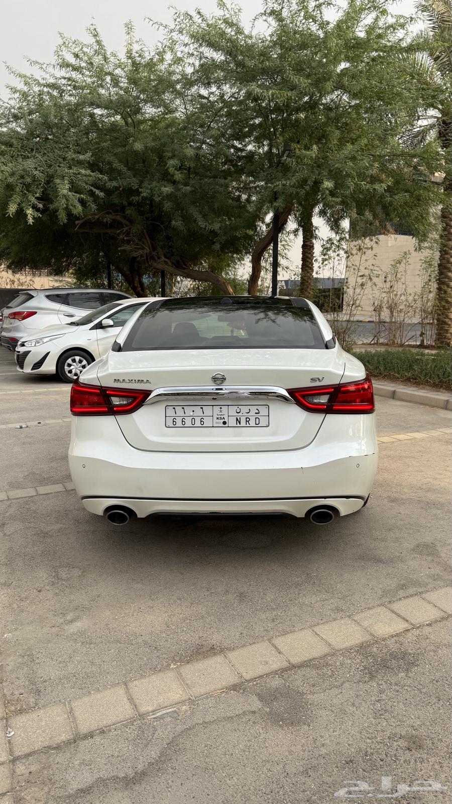 مكسيما SV للبيع64404958906753112