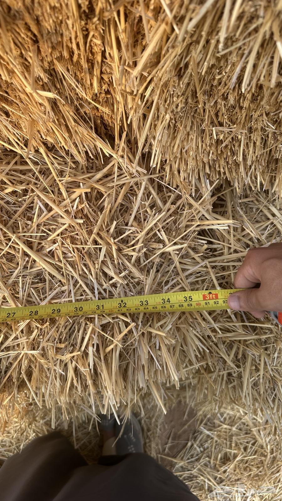 Wheat Straw64223152844161112
