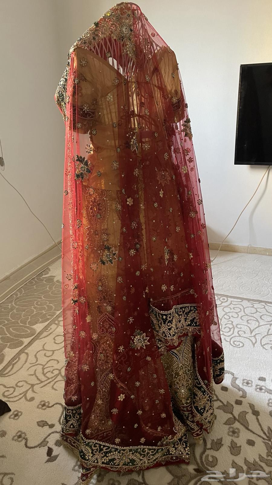 ساري هندي جديد64224840319747110