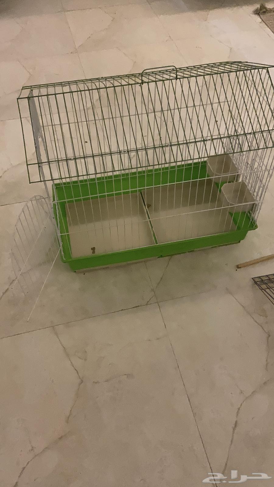 قفص ارانب64230803215618111