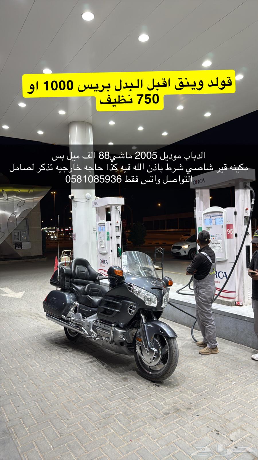 قولد للبيع ب 25 الف64407670763138110