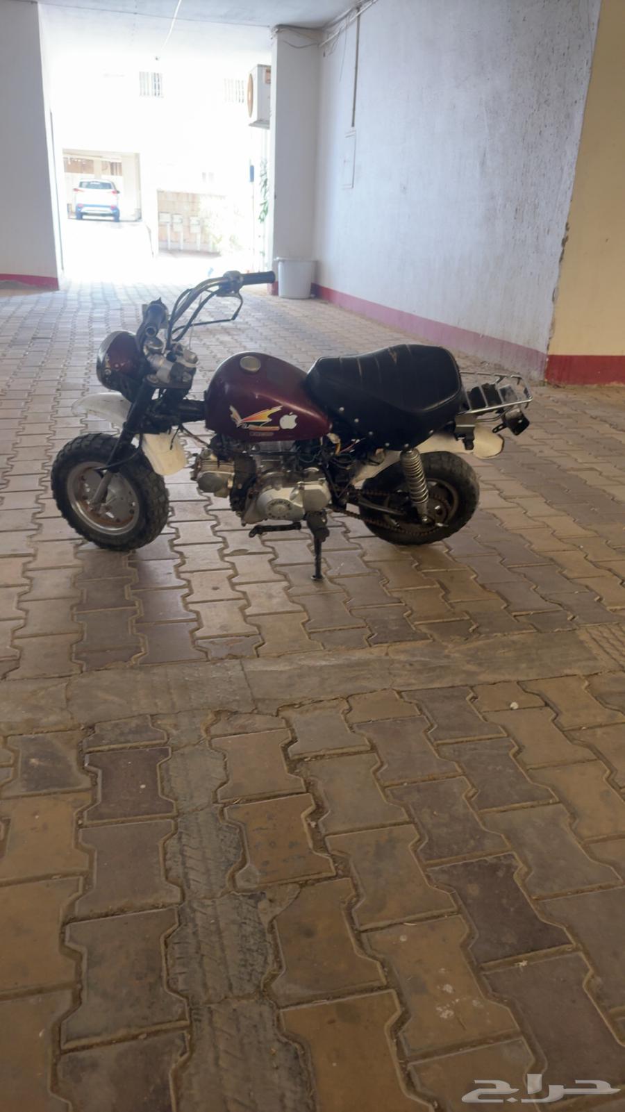 دباب جحش مقاس 5064398353619331110