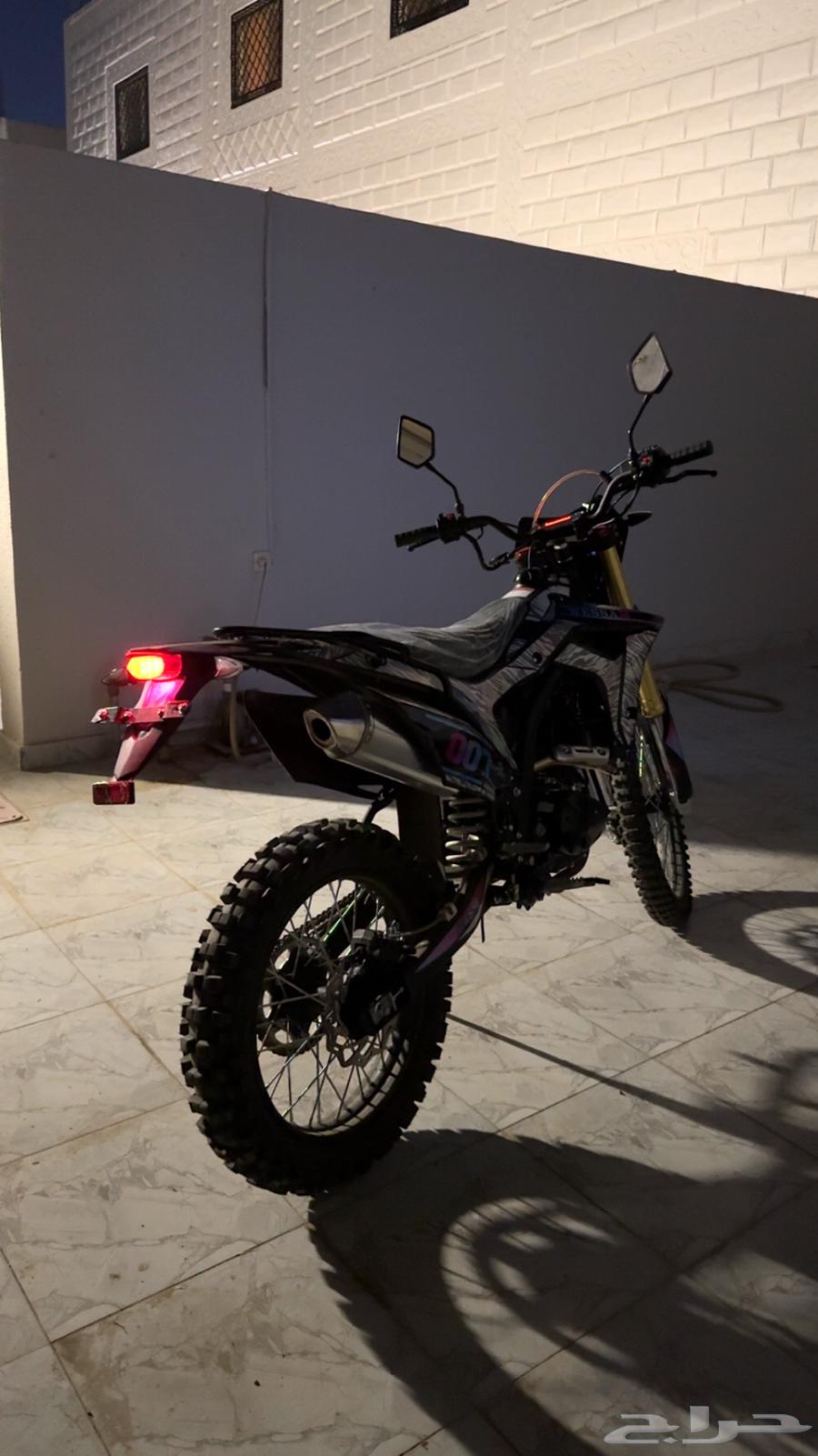 دباب صحراوي64406709844865113