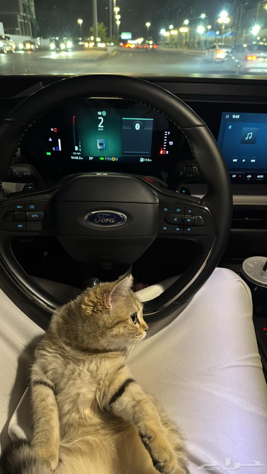 سكوتش للبيع64217048600707110