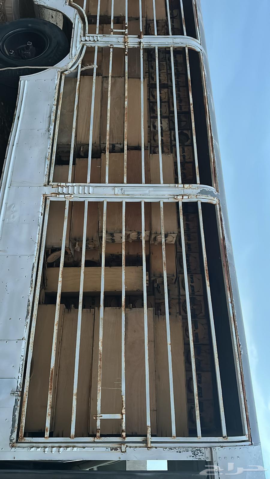 خلاي نحل مستخدمه64223806244738110