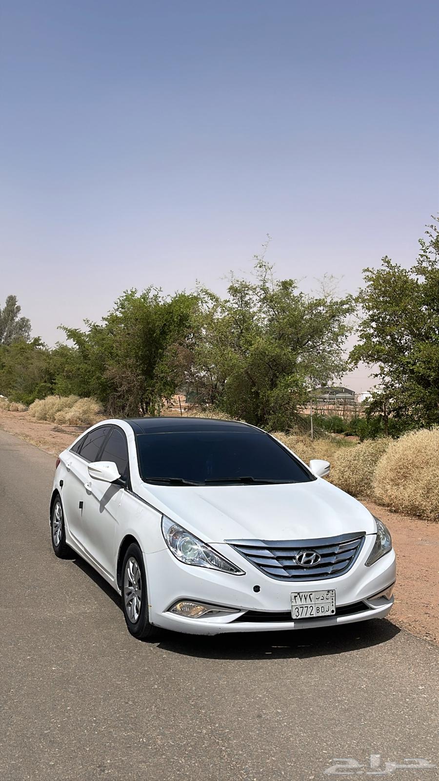 Sonata14 text full matchi from any thing above sum64401564551810110