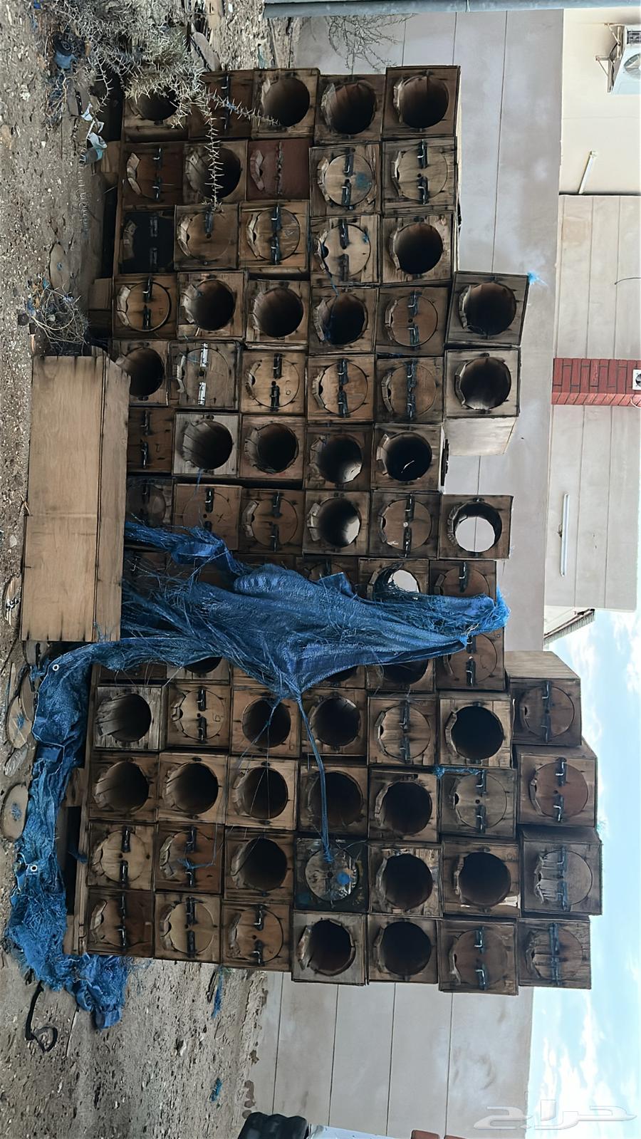 خلاي نحل مستخدمه64223806244738112