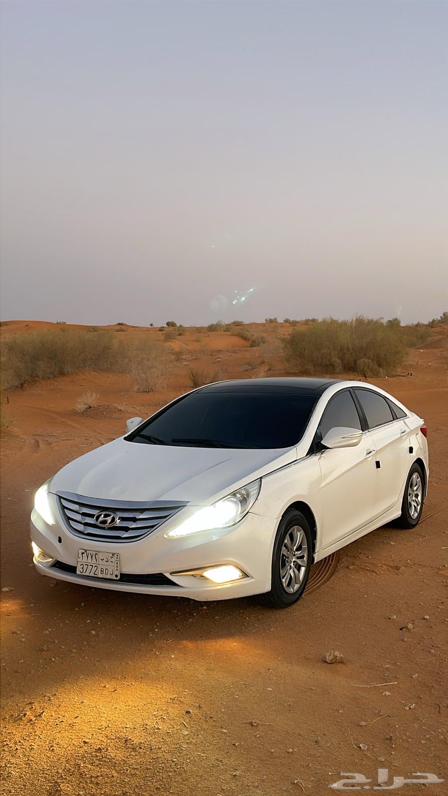 Sonata14 text full matchi from any thing above sum64401564551810112