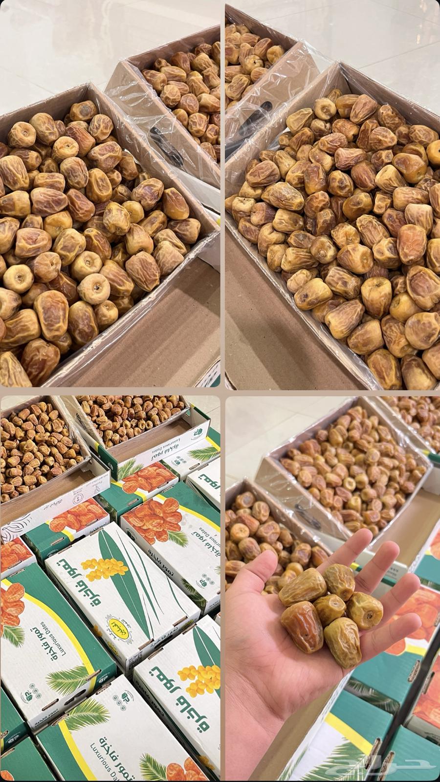 Hello, premium Sukkari dates, miftel, everything shown in the picture64216824180482111