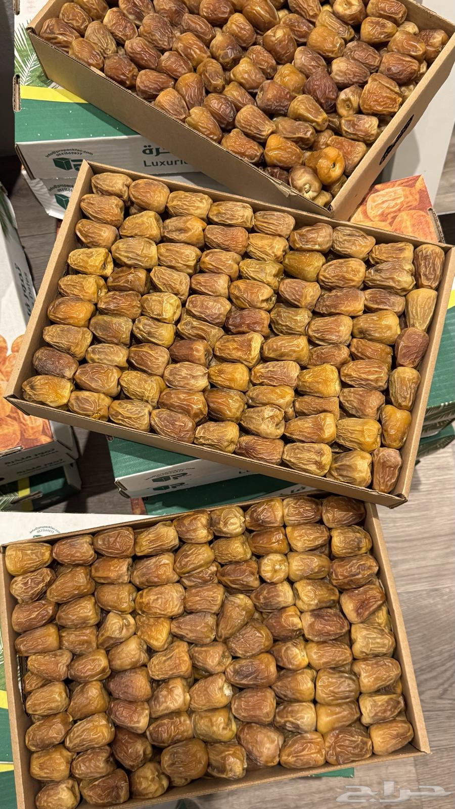 Sukkari Dates64229104805122110