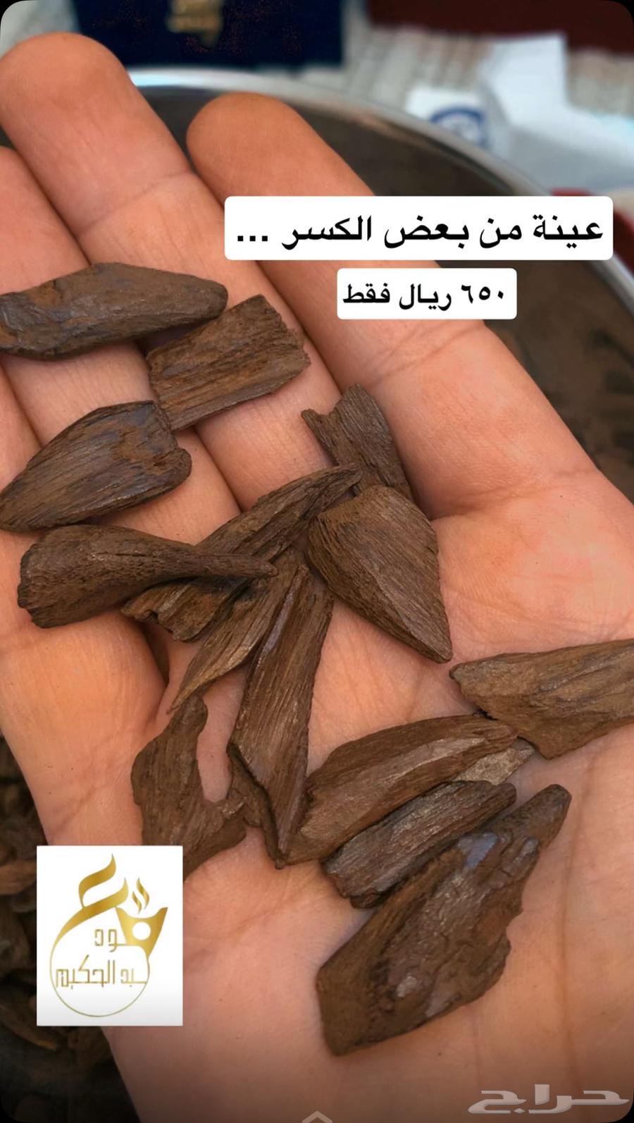 عود مروكي دقة طبيعي64209993771906110