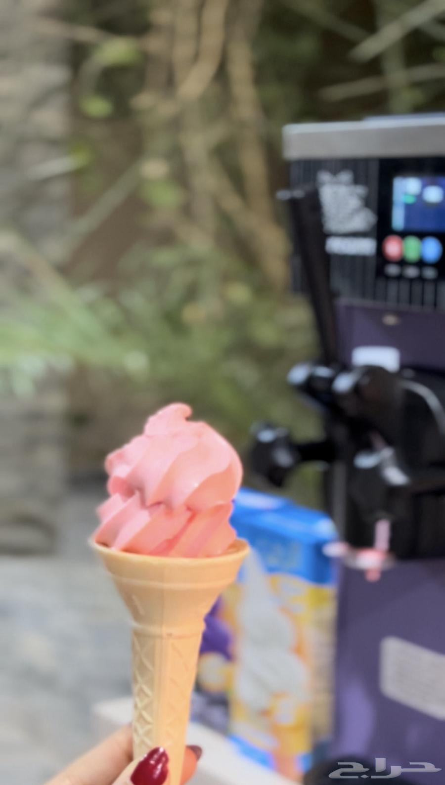 Back to School Offers: Ice Cream and Popcorn for Rent64226201612419111