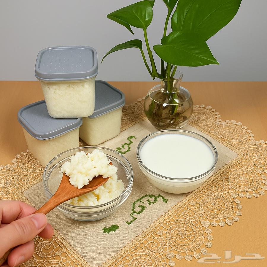 فطر هندي (كفير) أصلي   Kefir Grains64219828594947112