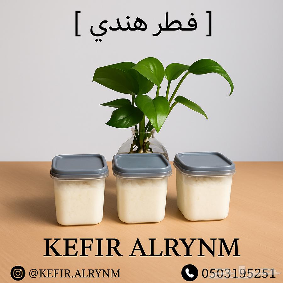 فطر هندي (كفير) أصلي   Kefir Grains64219828594947110