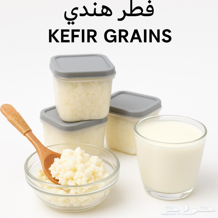 فطر هندي (كفير) أصلي   Kefir Grains64219828594947113