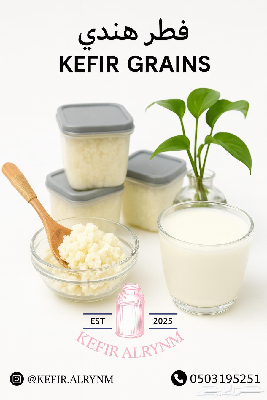 فطر هندي (كفير) أصلي   Kefir Grains64219828594947111