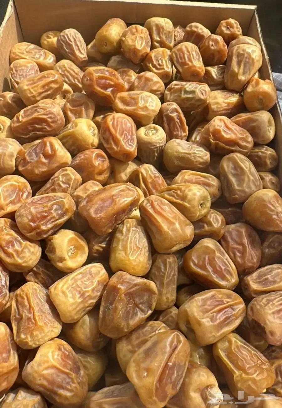 Qassim Sukkari Dates64209318850946110