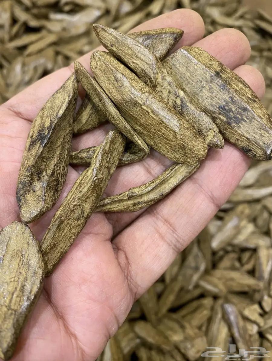 مجموعة من العود الطبيعي والمحسن لجميع المناسبات64212759986050110