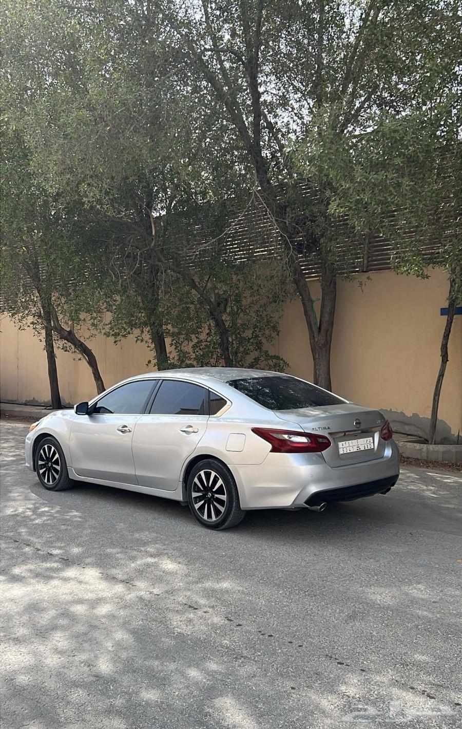 التيما 2018 نص فل64401717023747112