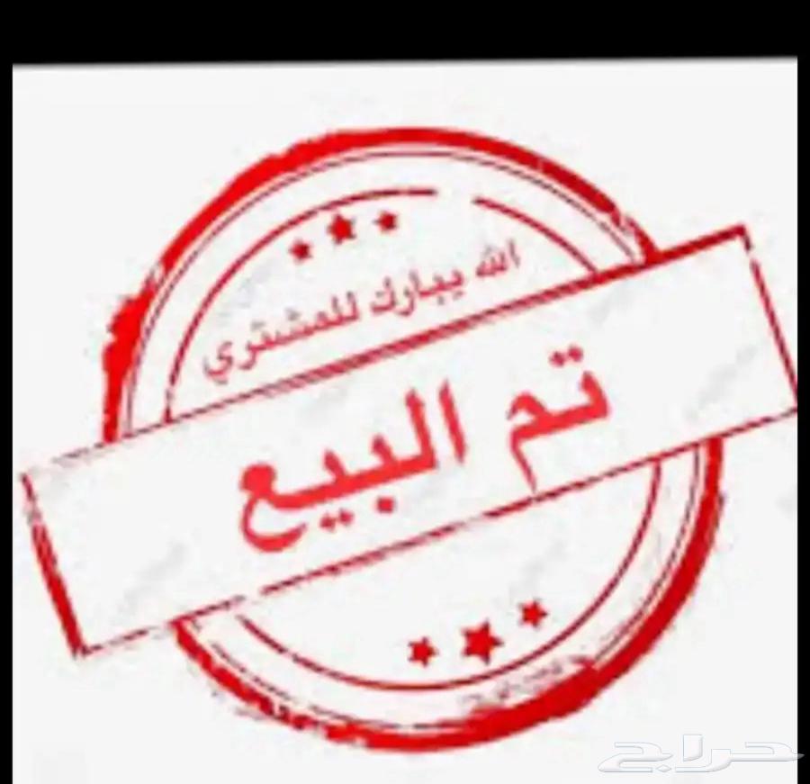 بيض بلدي مخصب وصالح للاكل64224840197890111