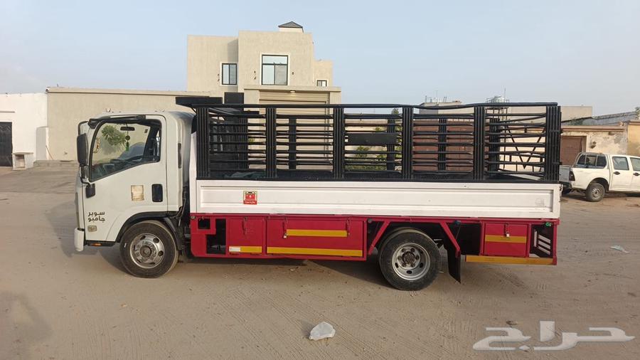 دينا ايسوزو استندر64398158692993113