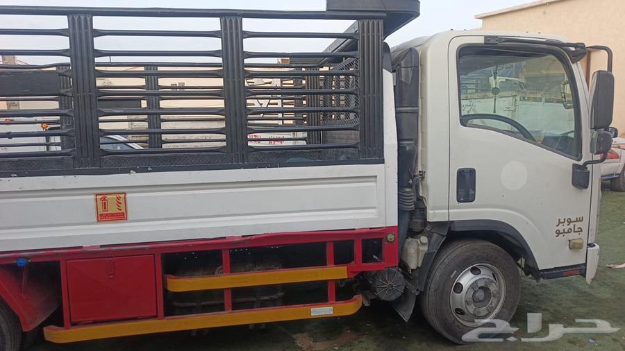 دينا ايسوزو استندر64398158692993111