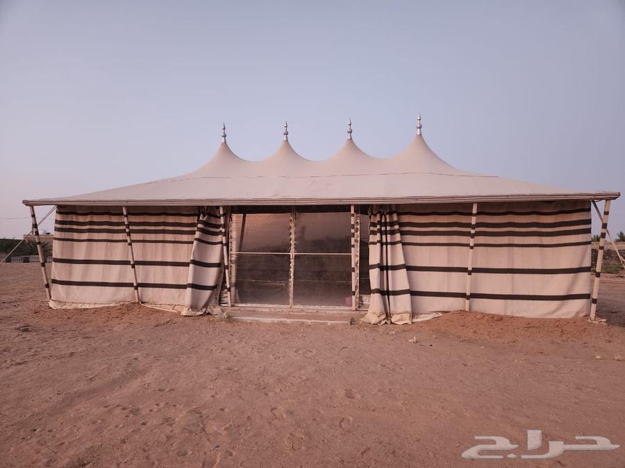 خيمة بيت شعر فاخرة للبيع64227858144515110