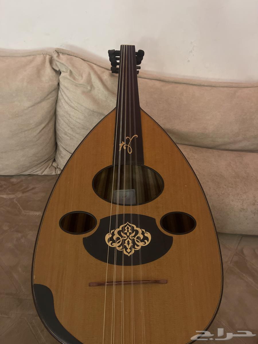 عود للبيع زرياب عراقي موديل 19 فرس متحرك64219014645249110