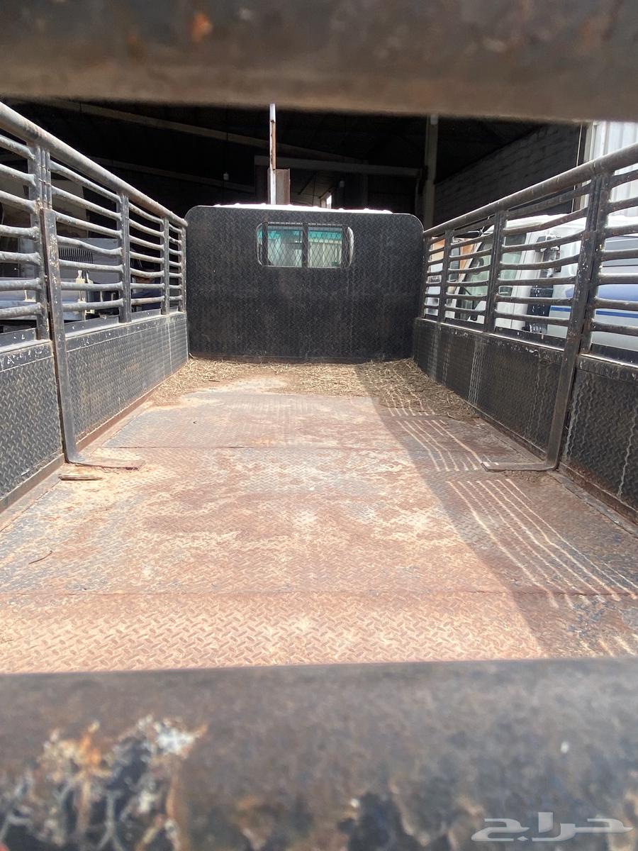 صندوق دينا64402299627266111