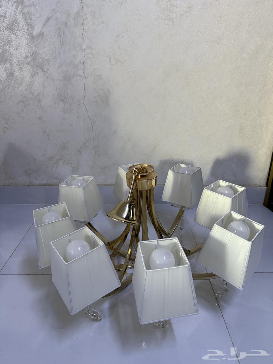 نجف جديد للتواصل واتساب64215641098242110