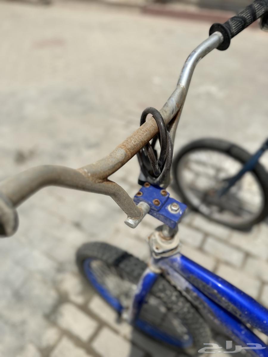 Cyclists for sale, price negotiable, contact via WhatsApp only64214463638531112