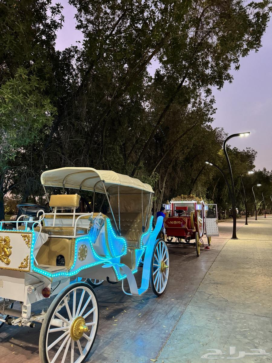 عربات كهربائيه64404277877889113