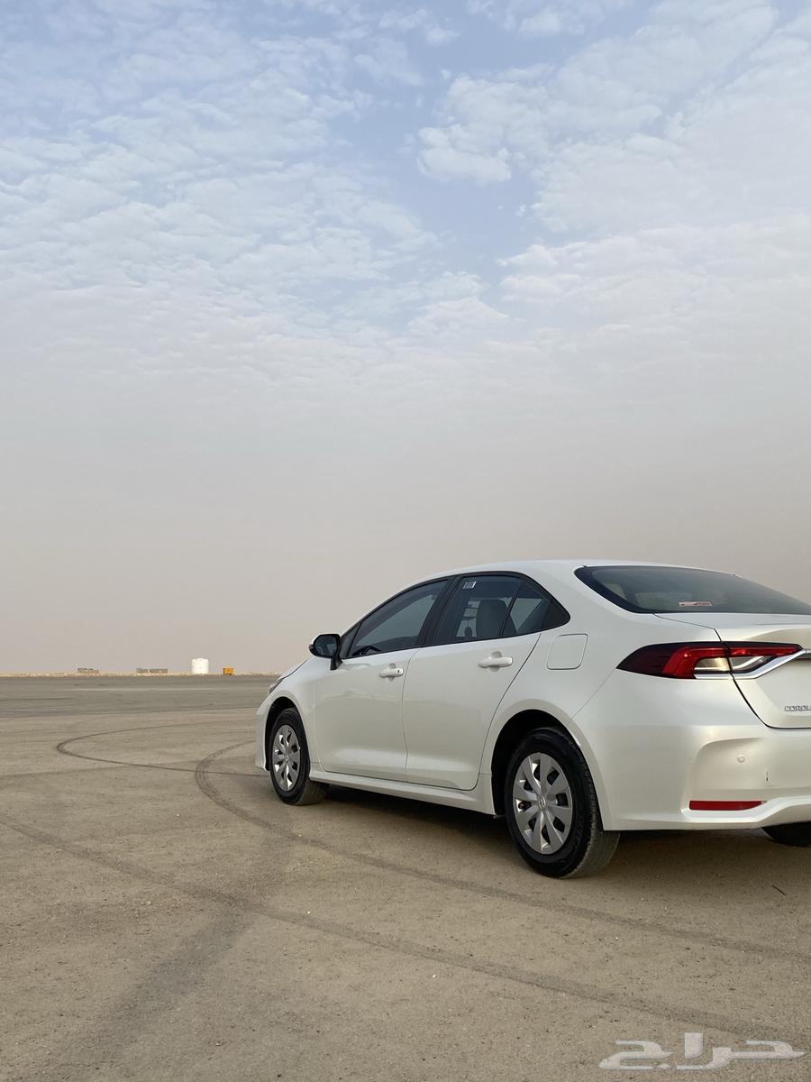 كورولا 202464408680494979114