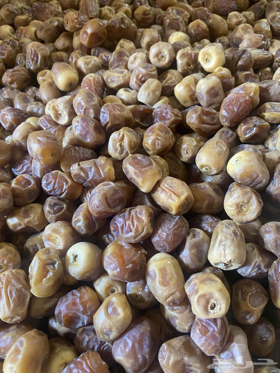 Galaxy Sukkari Dates Cartoon for 15 SAR64218604379265110