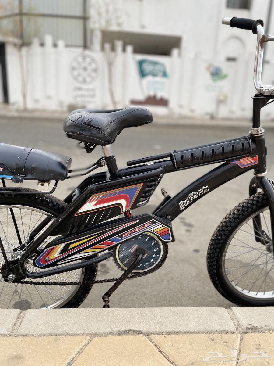 رامبو اندنوسي اصلي64219841711617114