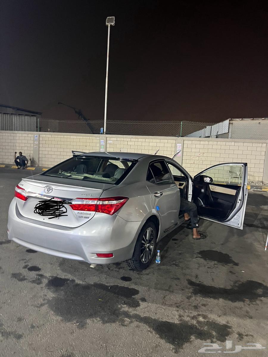 كوريلا 2016 للبيع64406681750273113