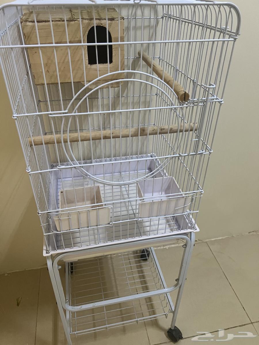 للبيع قفص شبك طيور64223483539713110