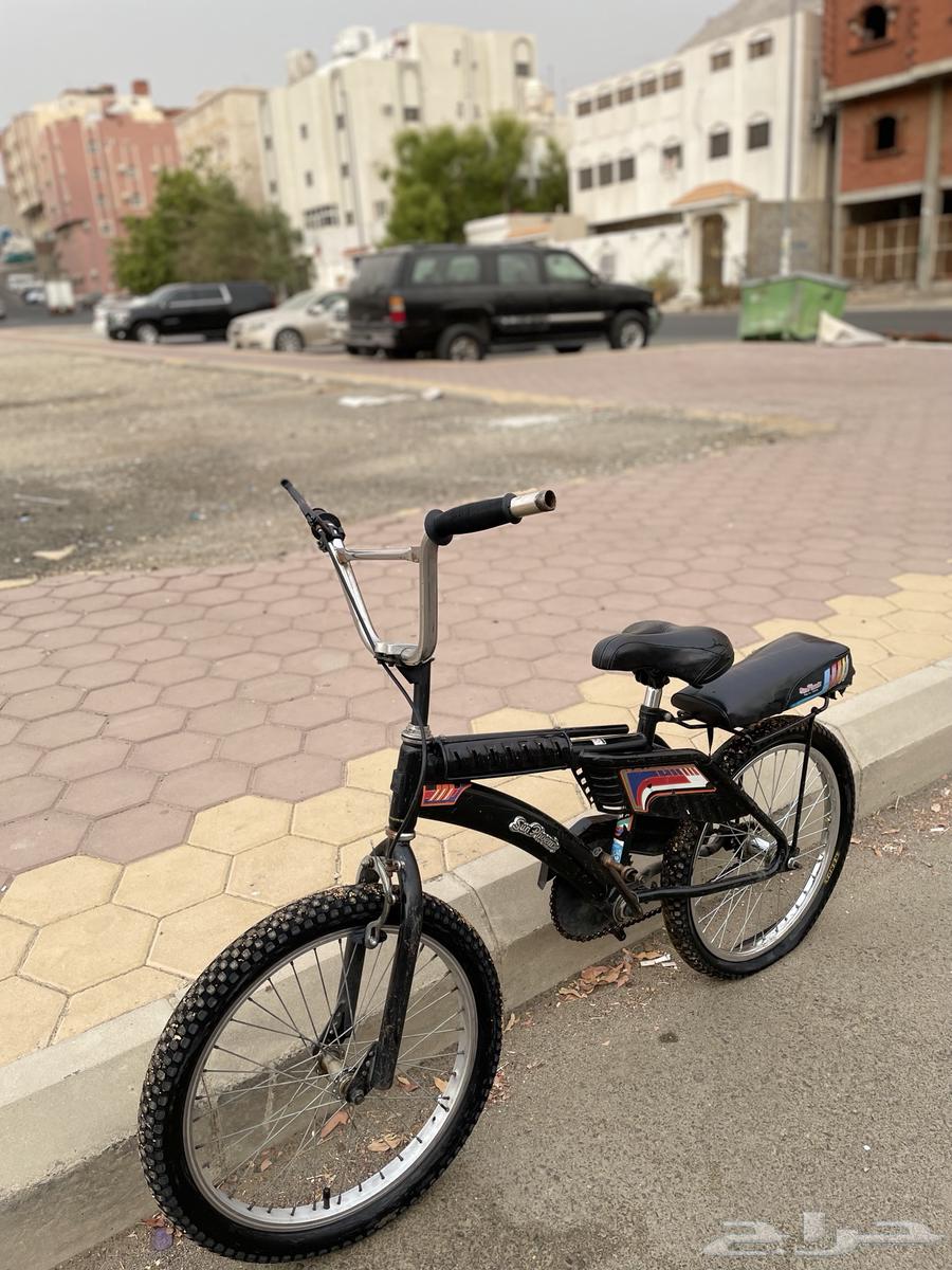 رامبو اندنوسي اصلي64219841711617111