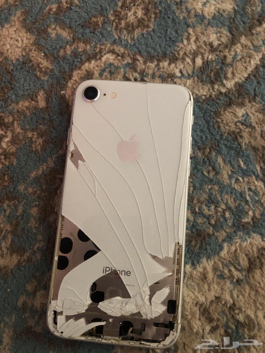 Regular iPhone 864212962770818111