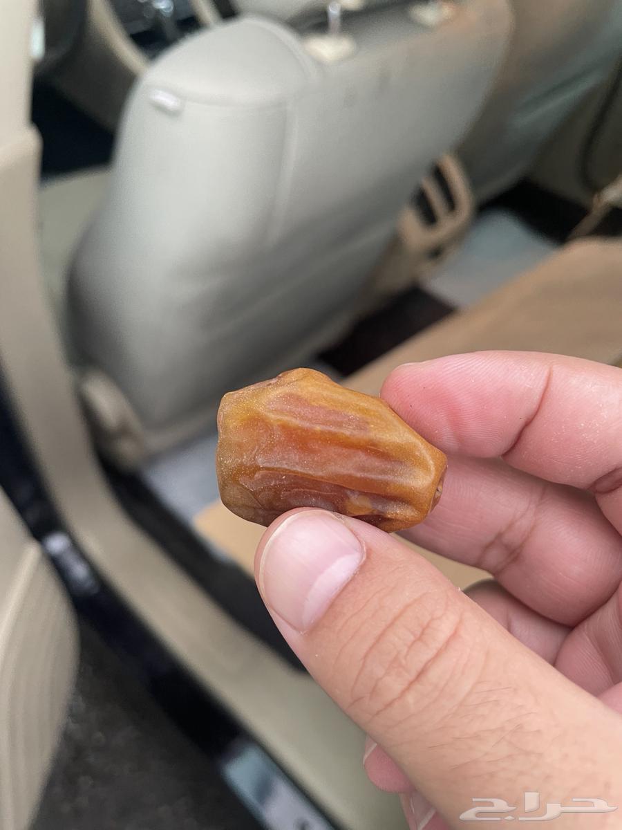 تمر جلكسي ملكي درجه اولى64222979448193112