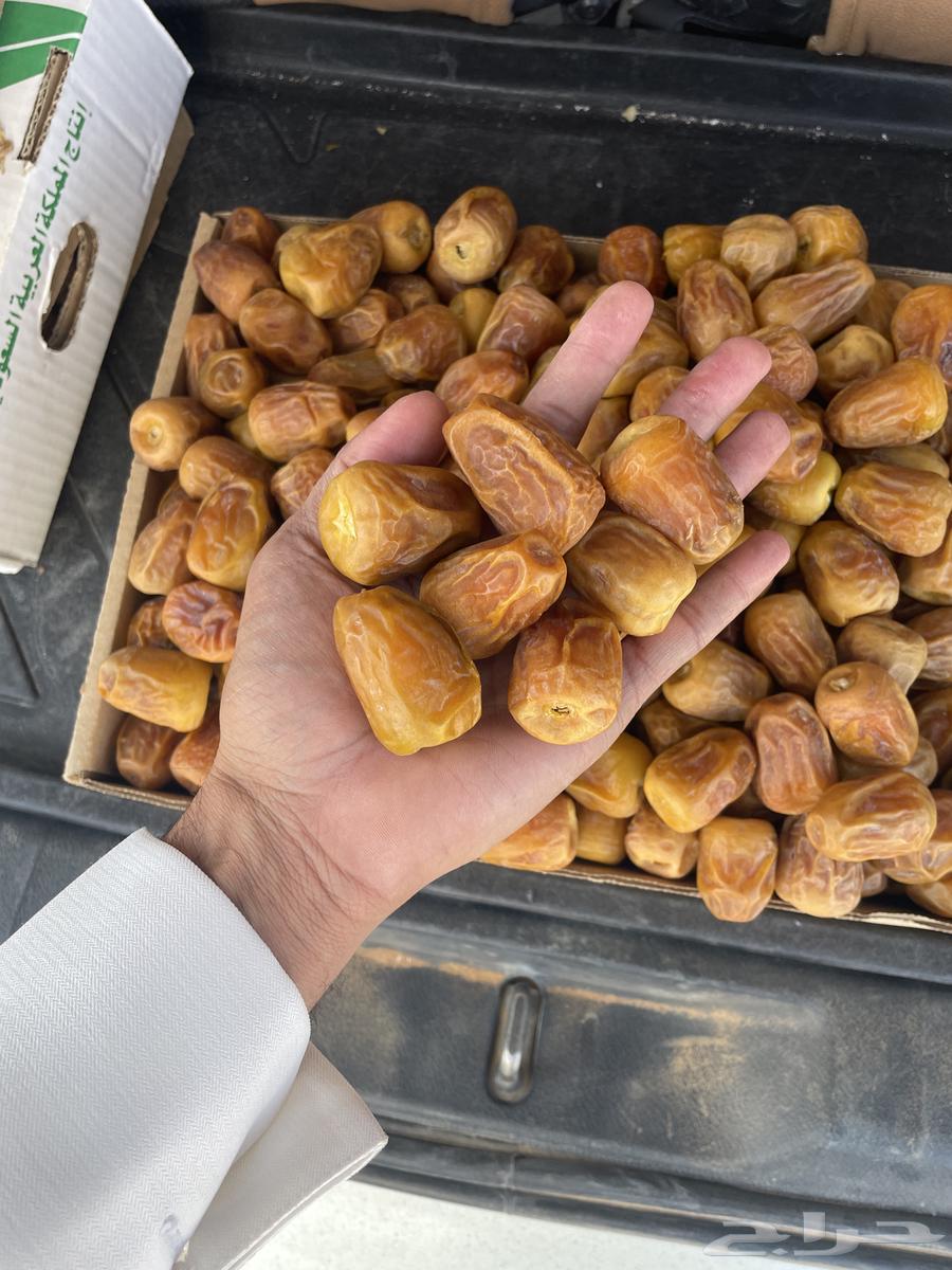 Premium Quality Dates, O People of Excellence64210450483329110