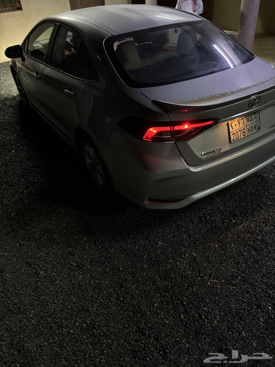 كورلا 2023 للتقبيل64408244641538111