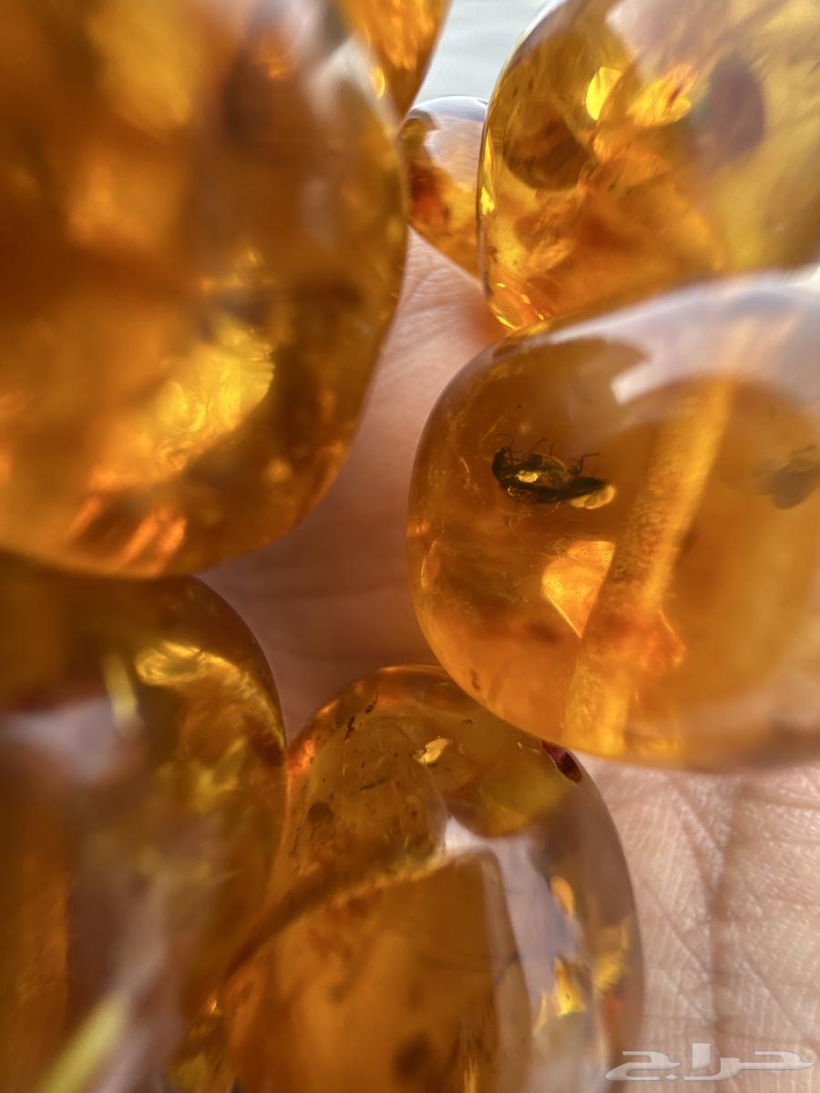 كهرمان روسي محشر انتيك64217972886402113