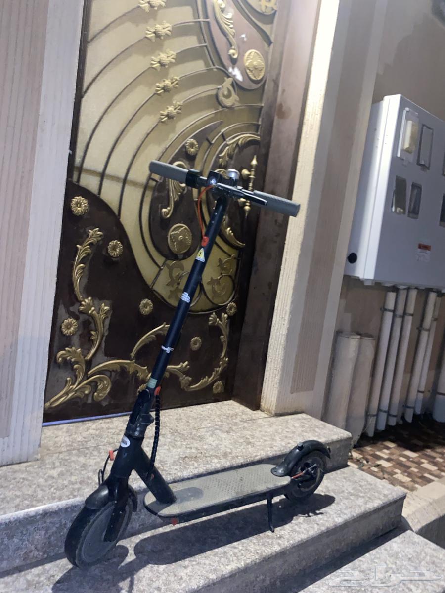 Scooter in near excellent condition64231489209347111