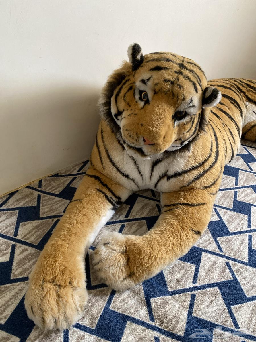 دمية نمر   للبيع64213597762049111