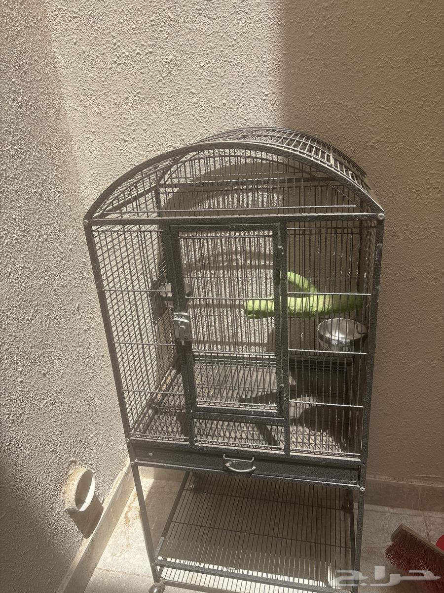 قفص ببغاء للبيع64215388037633110